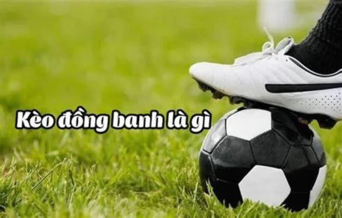 Thông tin kèo đồng banh và cách chơi hay cho các tân thủ Quan sát phong độ đấu